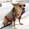 Mantel/Jacke für kleine Hunde, Welpenkostüm
