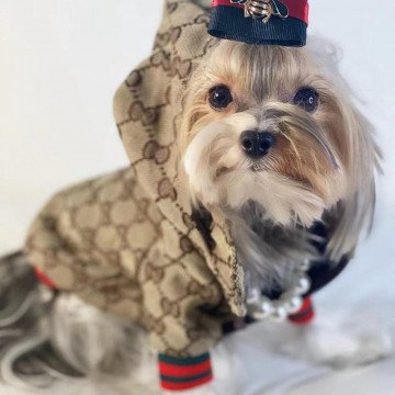 Cappotto/Giacca per Cani di Piccola Taglia, Costume da Cucciolo